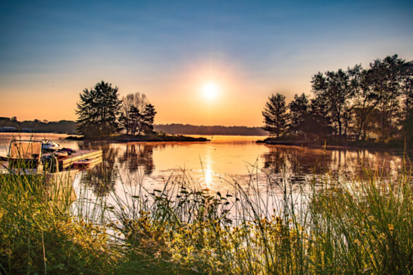 Late Summer Sun