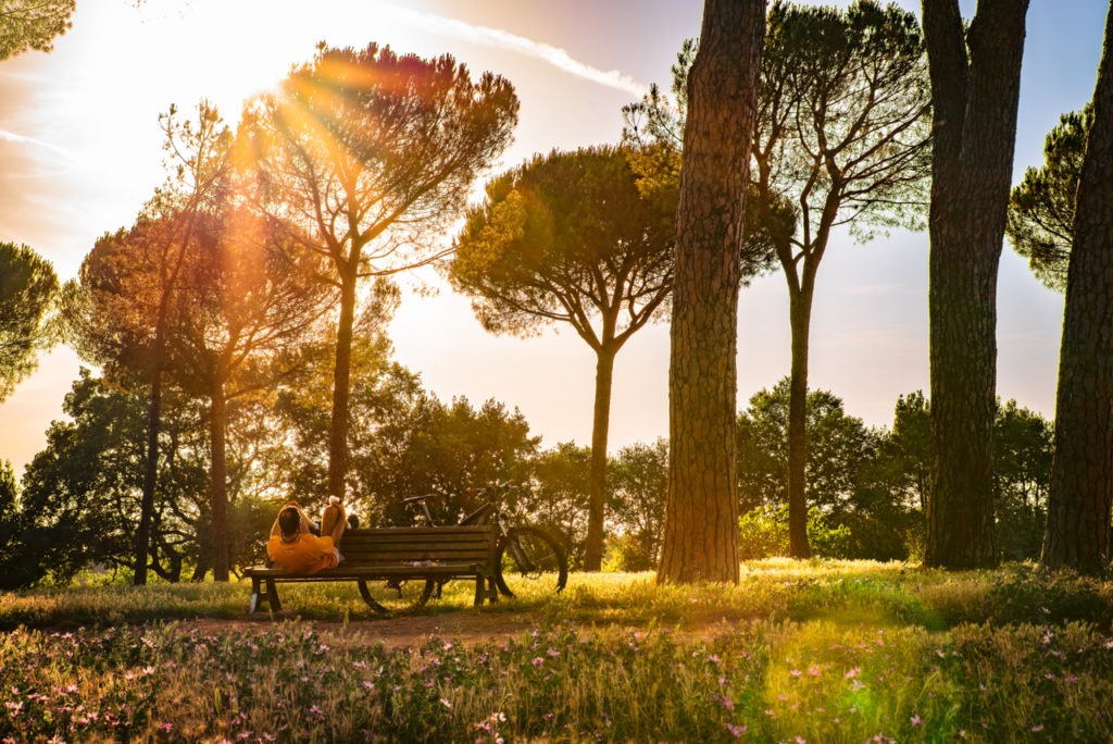 Biking in Rome