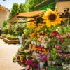Flowers at Quattro Venti