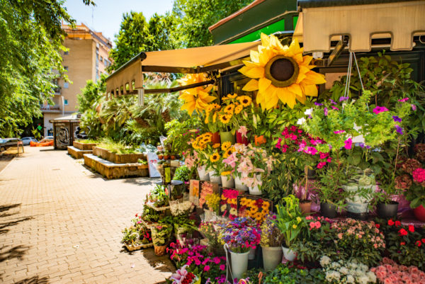 Flowers at Quattro Venti