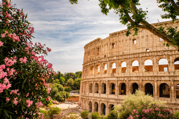 Colosseum Blooms