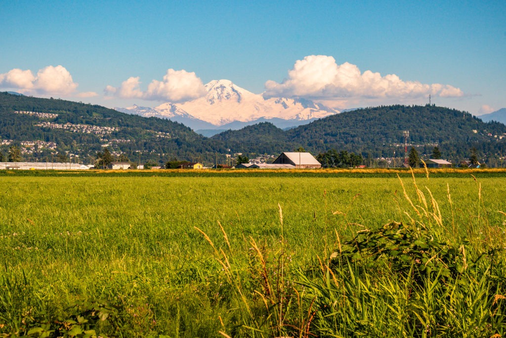 In the Fields of Abbotsford, BC