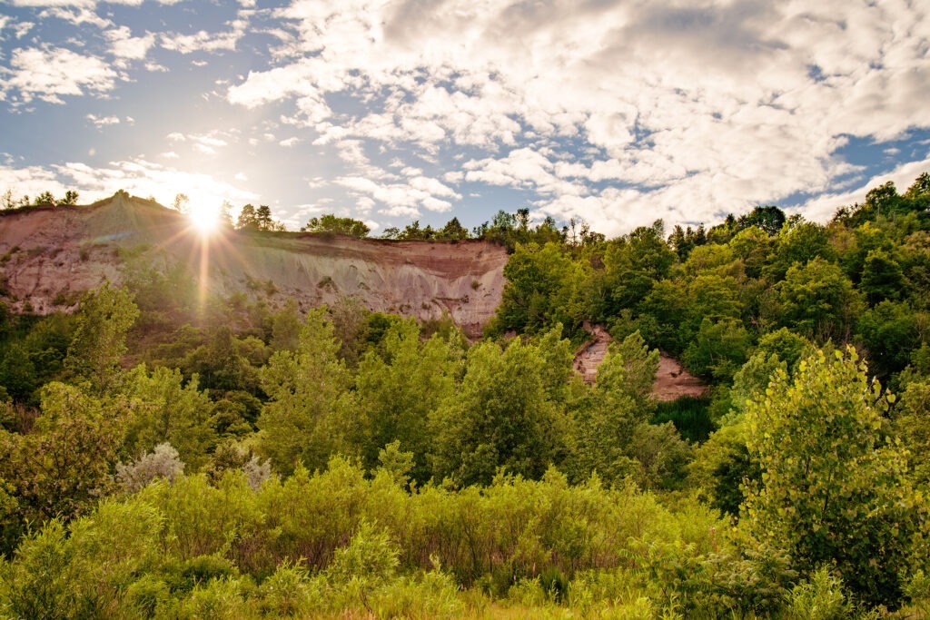 Sunkissed Scarborough Bluffs