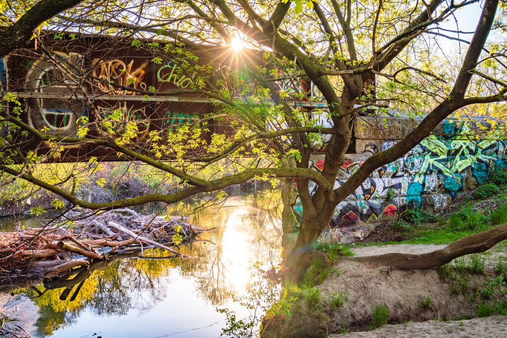 Don River Walks
