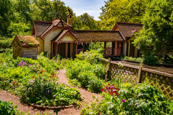 Cottage in the Middle of London