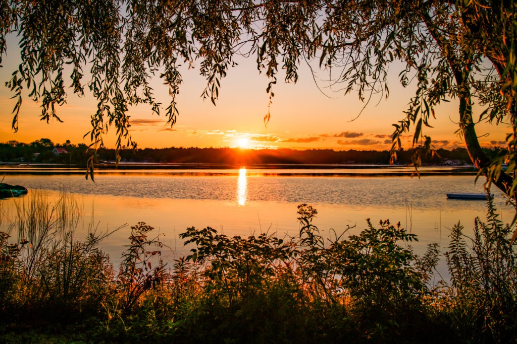 Sunrise in the Wild