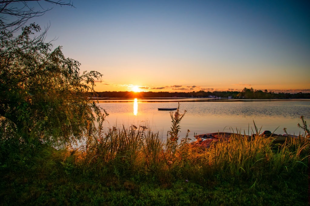 Morning Has Broken