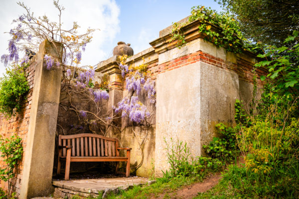 Under the Lilacs in Hever Gardens