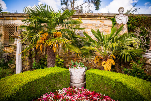 The Tropics of England in Hever Gardens