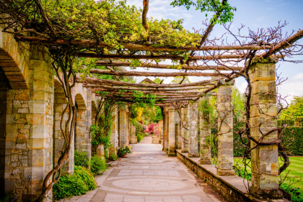 The Path to Hever Gardens