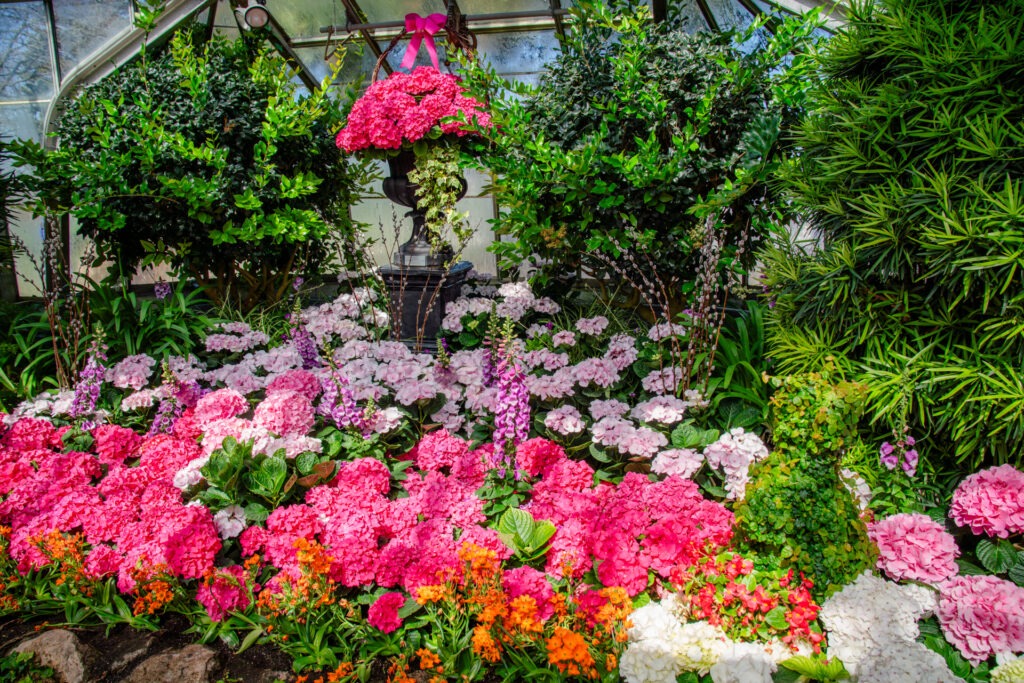 Spring Blooms