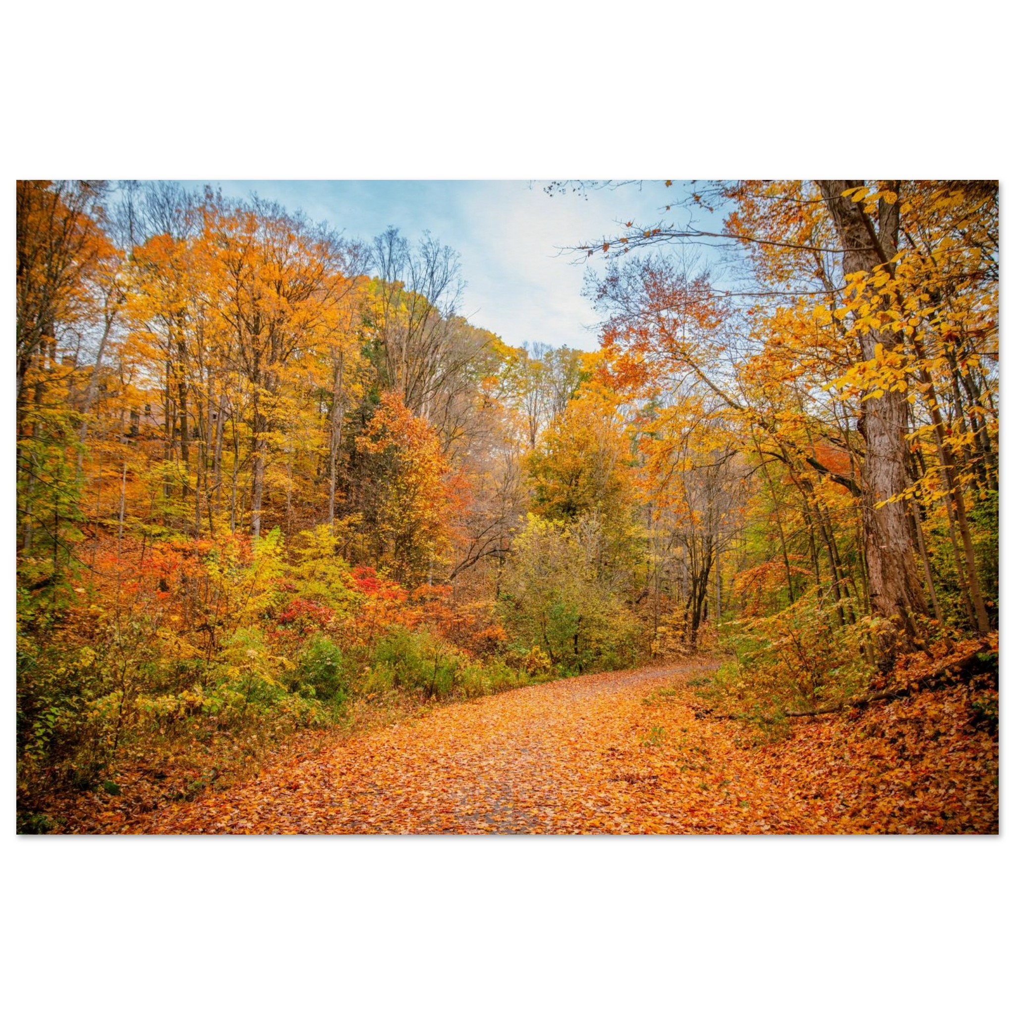 3919273b-6f08-404e-b7d2-aa6cae35f01b