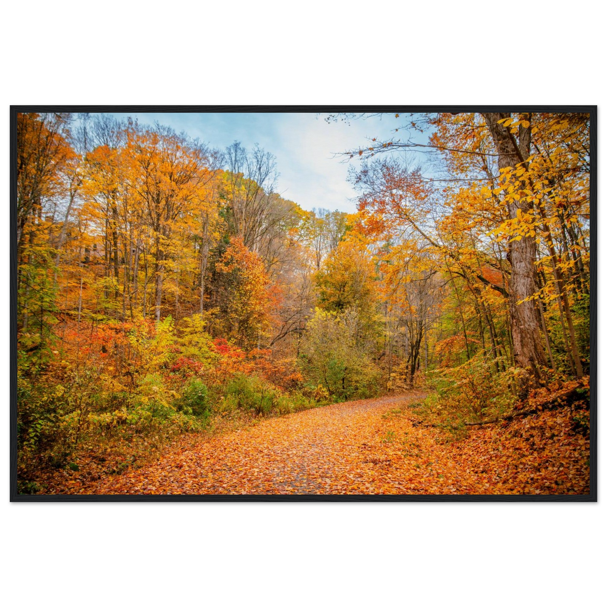 47529b08-583d-49da-9c3d-e44af9dabf69