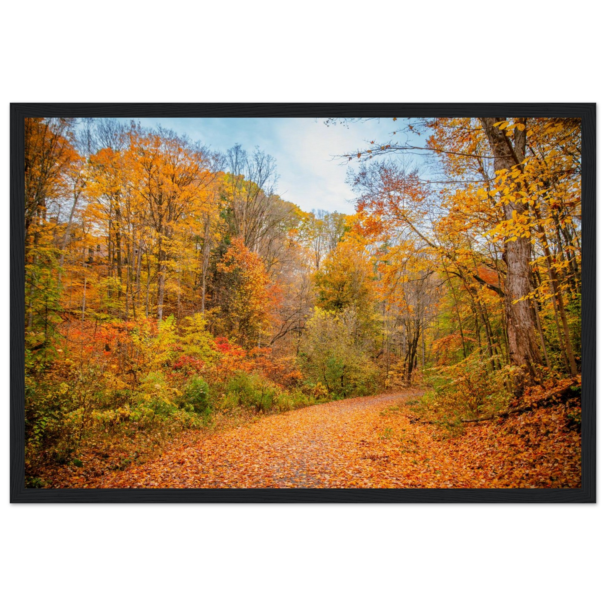 482c9f14-cdf2-4dad-9383-a0aea36ef46d