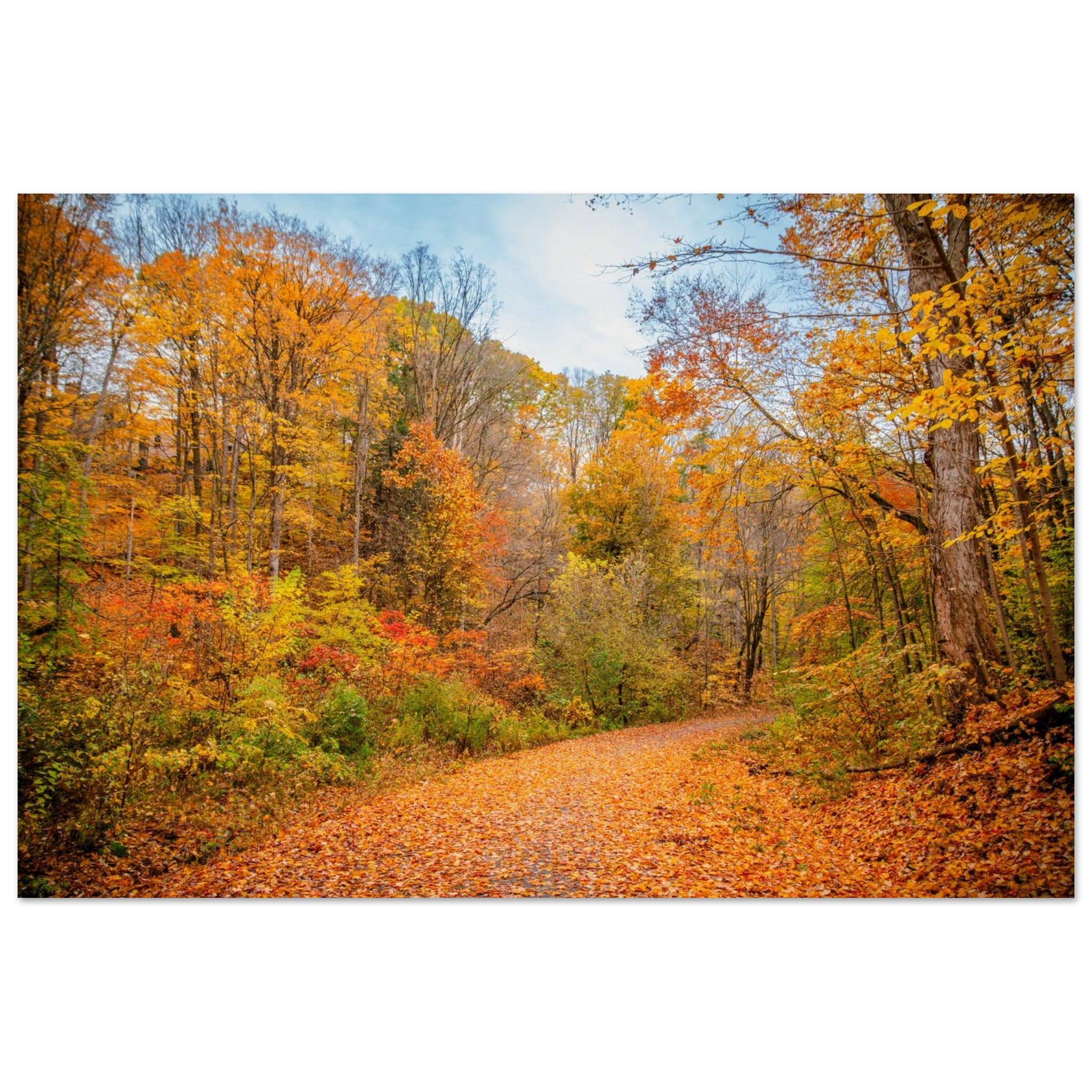 556e9a8f-0083-4786-abdd-c494e7df9302