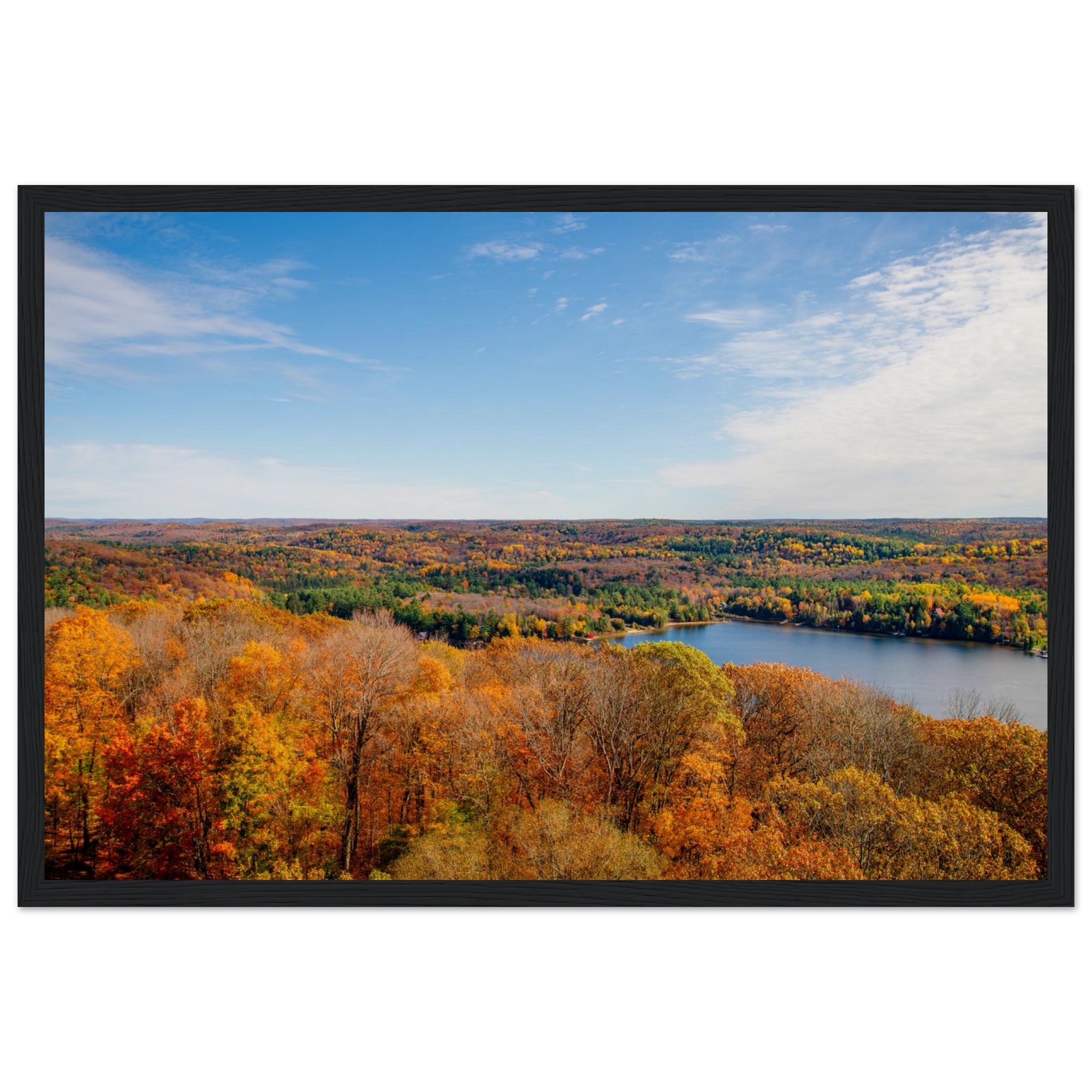 5b48d706-7640-4703-9dbe-cd81eaf24f40