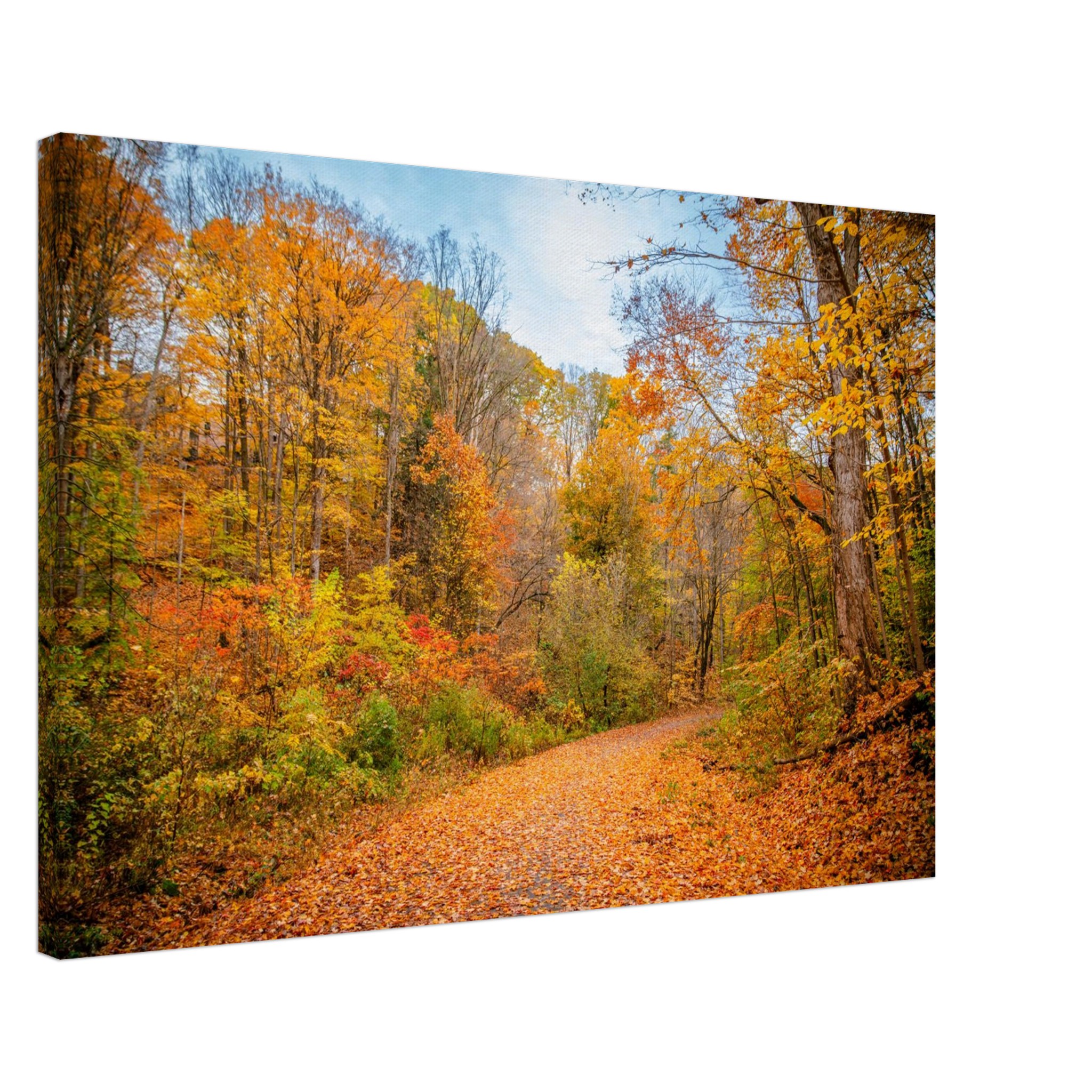 6e9cc872-df25-4181-ad4d-4a86d06c80ef