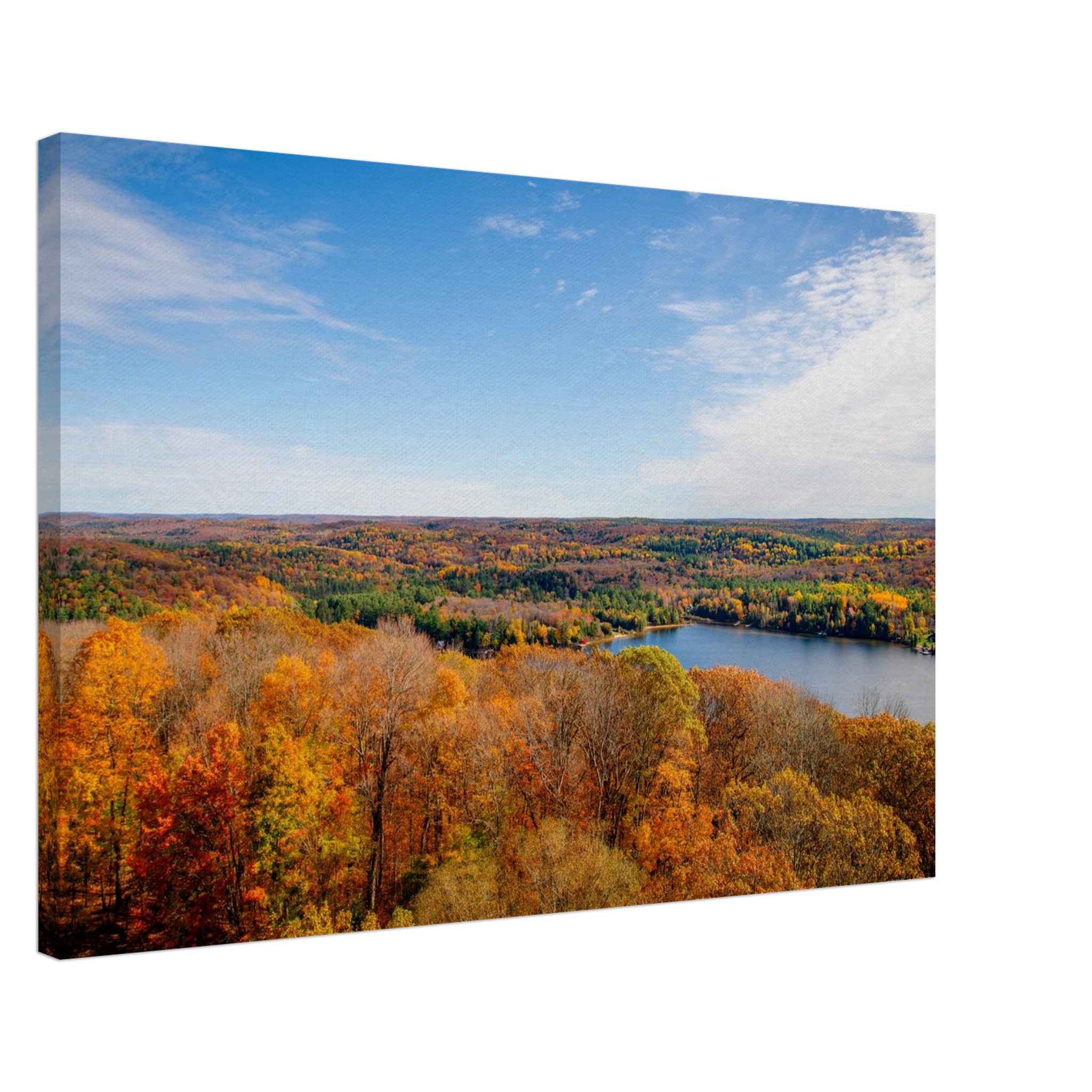 763728c2-99c5-4256-a3ca-7c6f1f8a7422