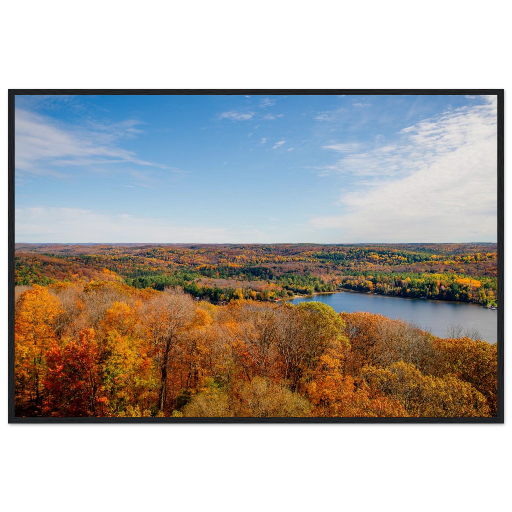 825f7fd8-bbfb-4634-a8ff-210adbed5211