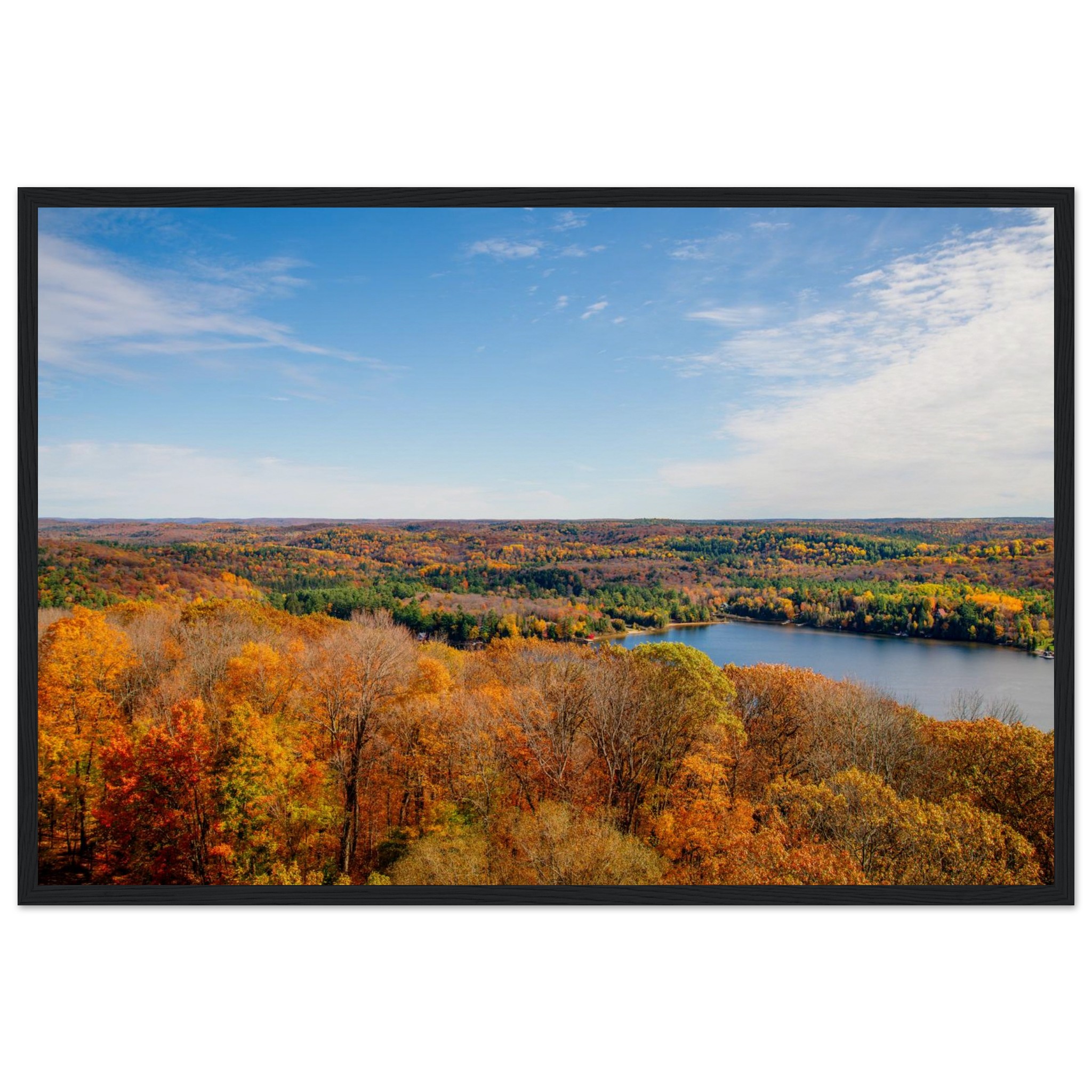 831d4ff0-88bd-4967-a13d-a131f4f47a12