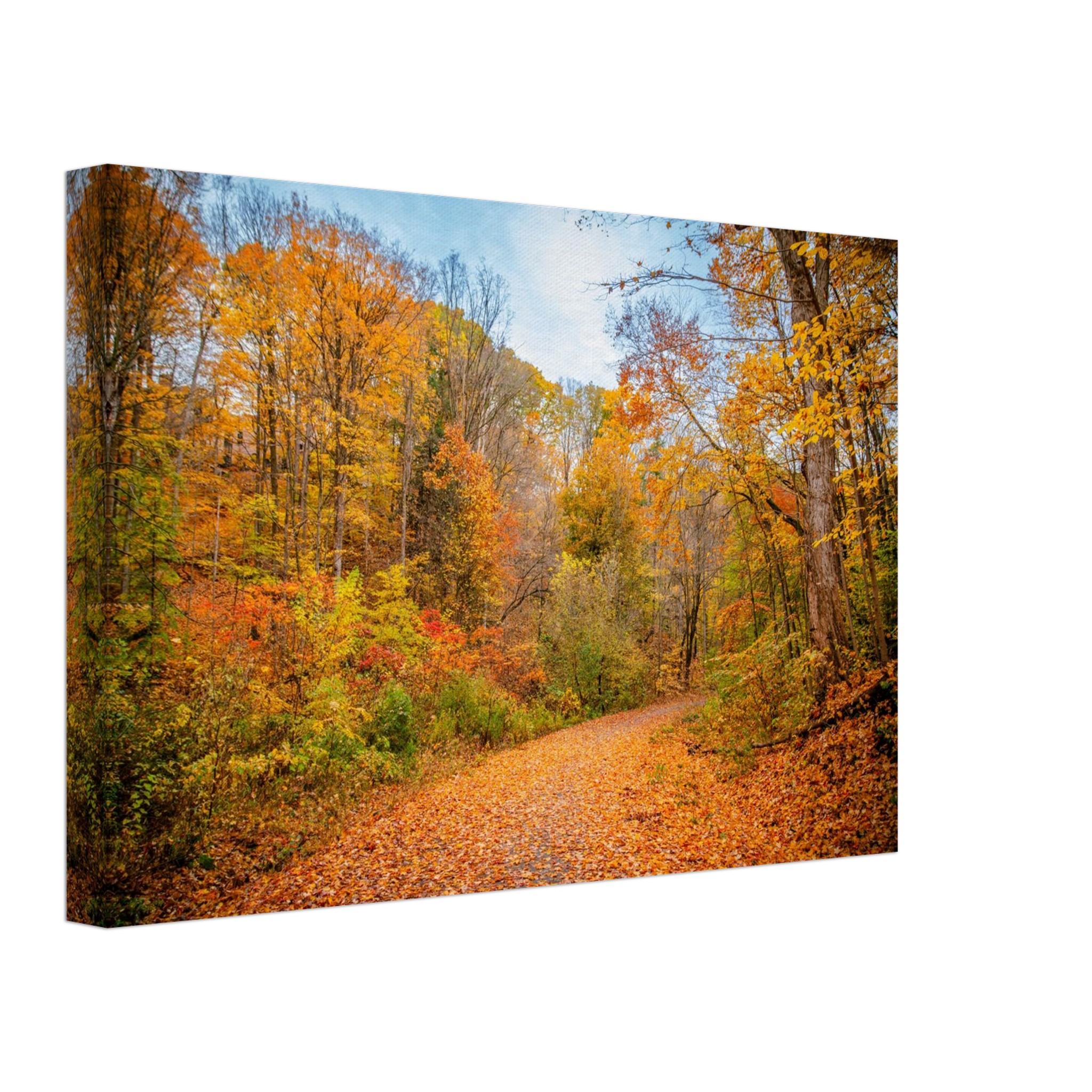 9af285a6-ccfb-4a47-b049-021e3f69f541