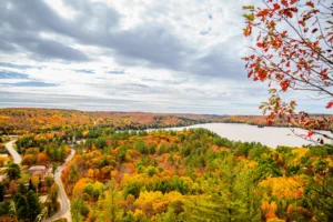 The Winding Autumn Road in Dorset