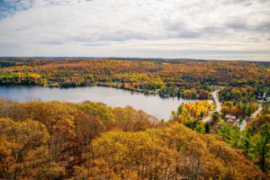 The Autumn Air Over Dorset