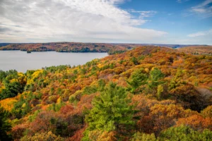 Scenic Autumn Lookout in Dorset