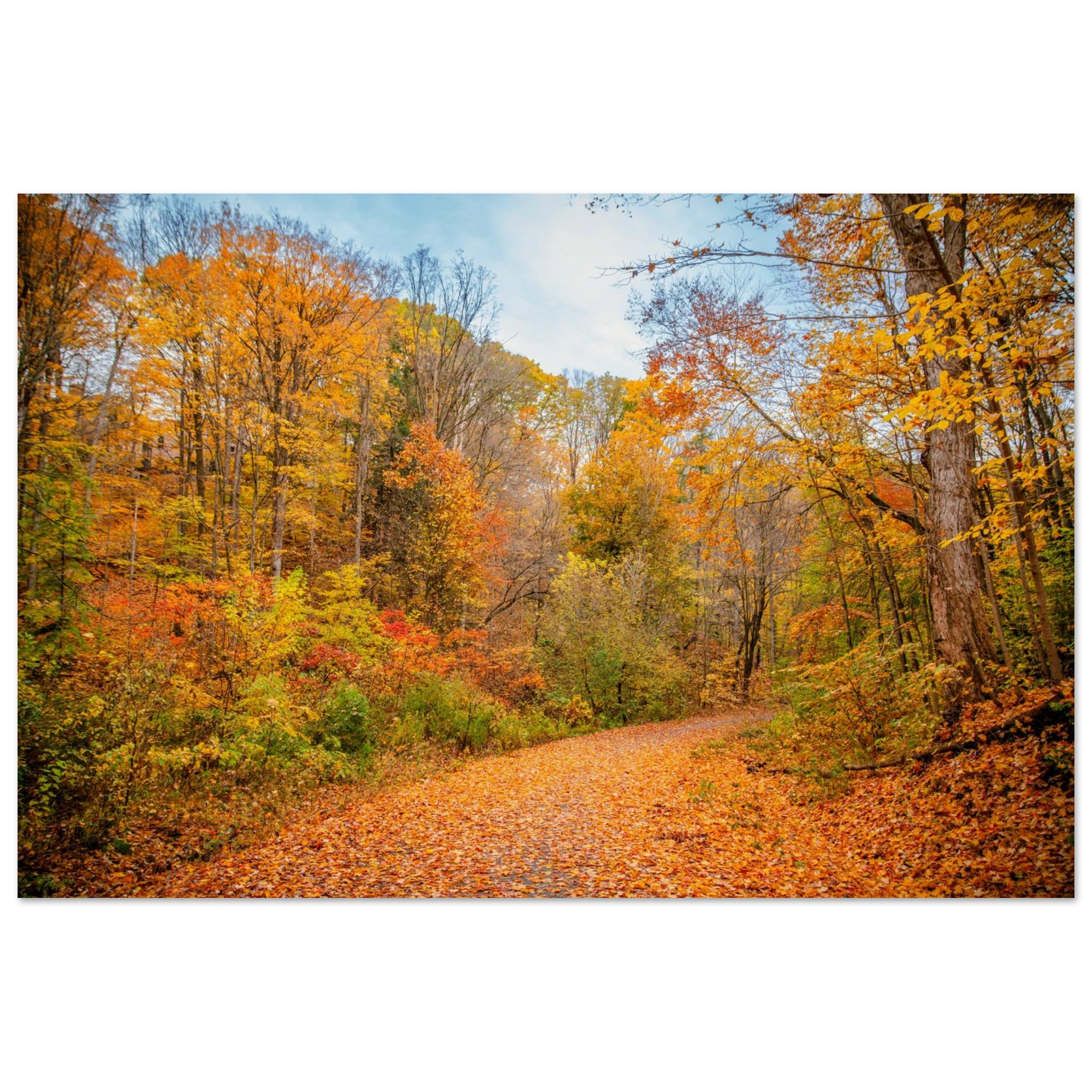 b06d9efb-0c82-4470-a5b2-4957d33419eb