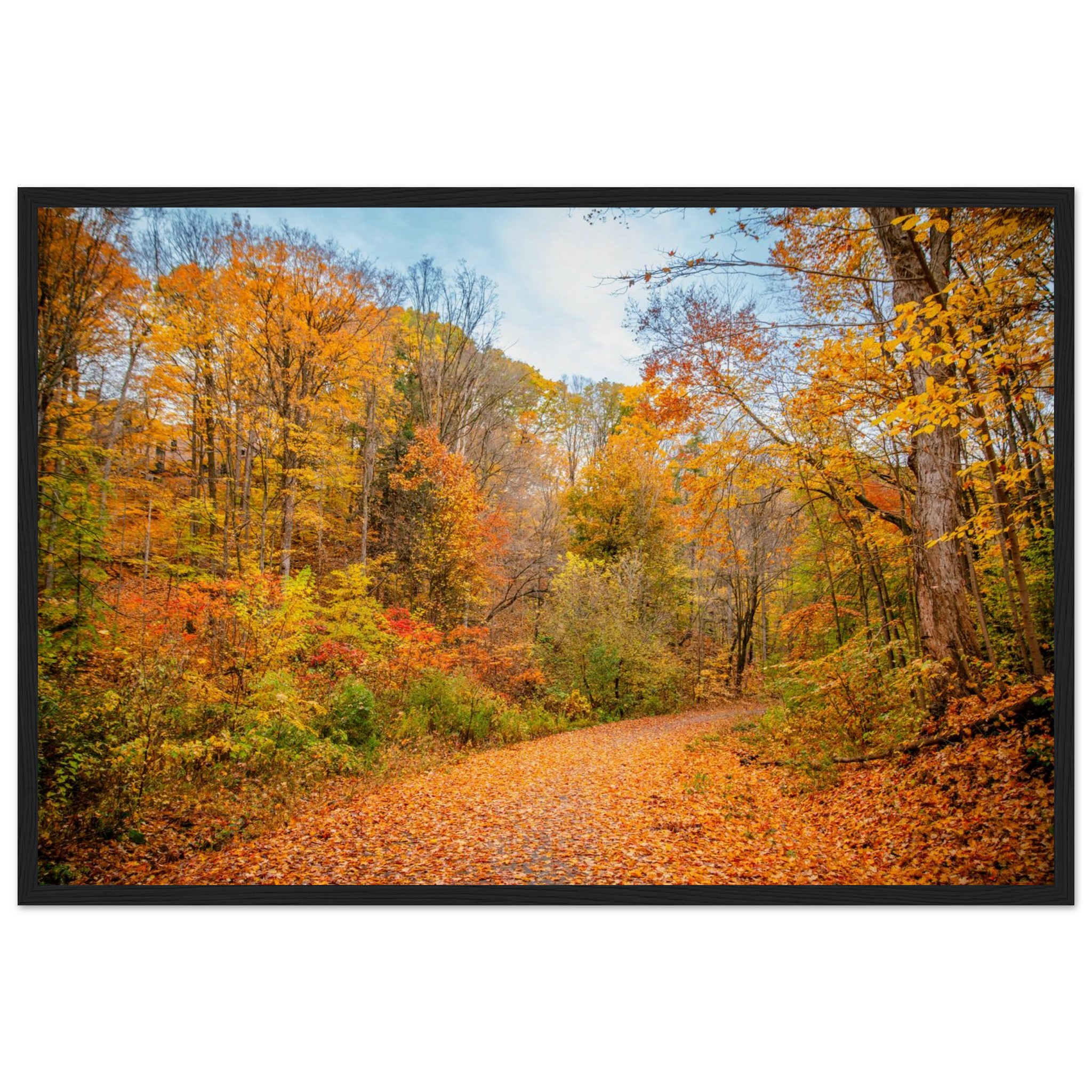 c0f5c8cc-4f88-41e6-a2e9-60cb9b7c7900