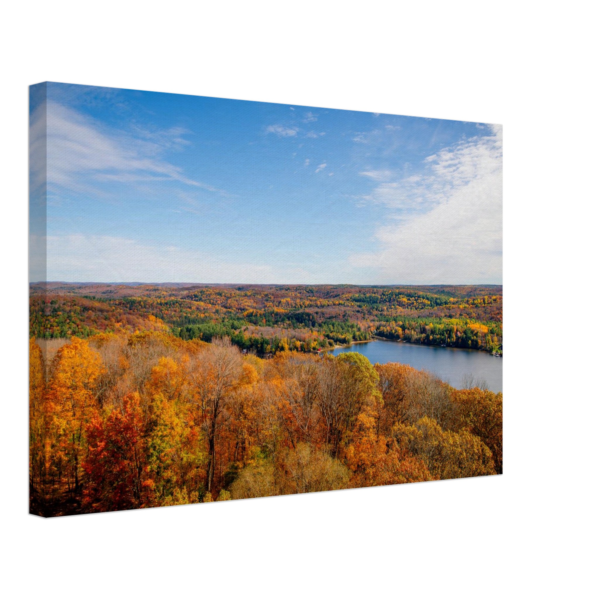 dda3a531-f815-4045-93cf-cef11d09a08f