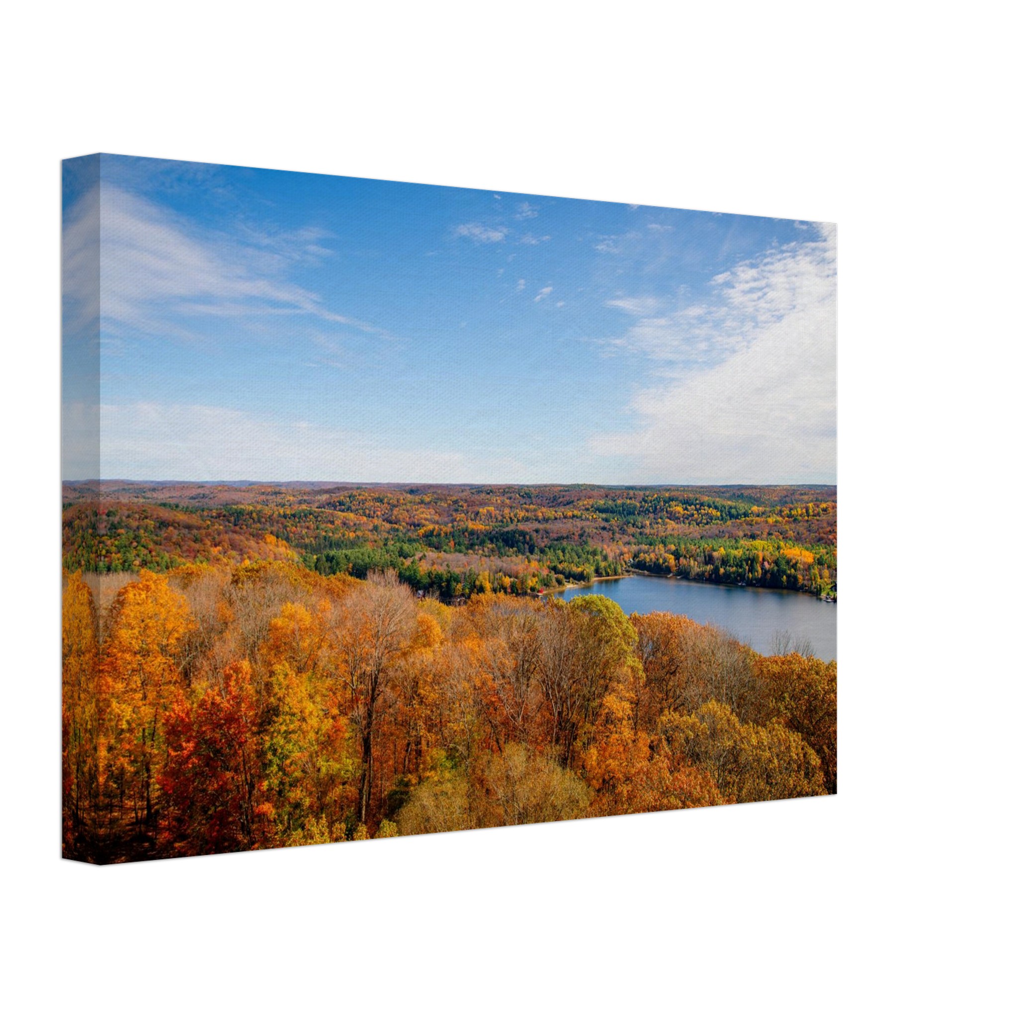 f36618df-d7b5-41d1-bd15-745a5319a9c7